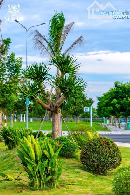 Bán lô đất 100% thổ cư mặt tiền đường lớn 6x16 có vỉa hè đường rộng 13m - 1