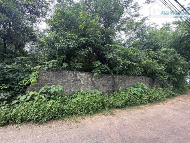 Bán đất Thôn Quế, Hướng Đạo, Tam Dương, Vĩnh Phúc, DT 940m2 - 1