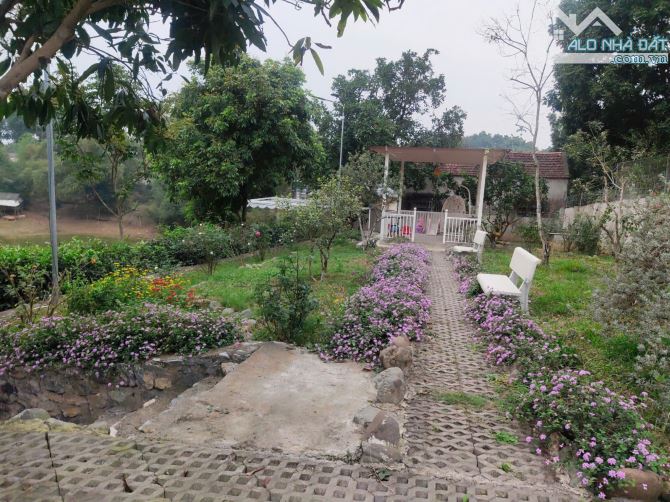 🔥 BÁN ĐẤT TẶNG NHÀ HOMESTAY – CƯ YÊN, LƯƠNG SƠN, HÒA BÌNH 🔥 - 1