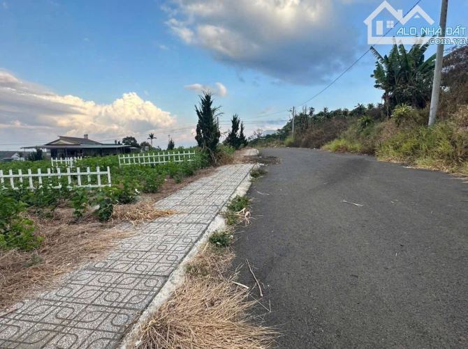 BÁN ĐẤT NGỘP GẦN CHỢ, GẦN UỶ BAN 500M2 CHỈ HƠN 1 TỶ BÁN TRONG THÁNG - 1