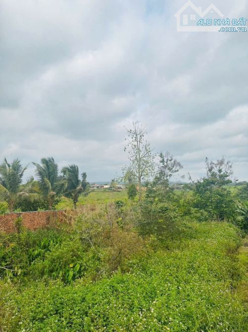 Bán nhanh lô đất Hoà Khánh - 790 triệu - 1