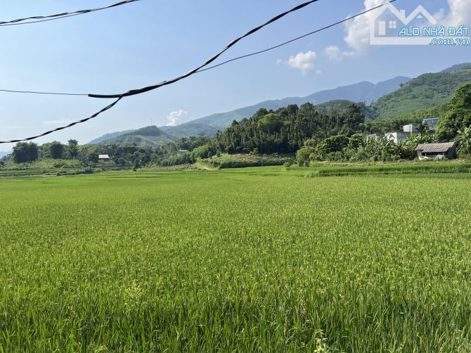 Bán đất Kim Bôi, Hoà Bình 2931m2 thổ cư 1800m2 View cánh đồng siêu đẹp - 1