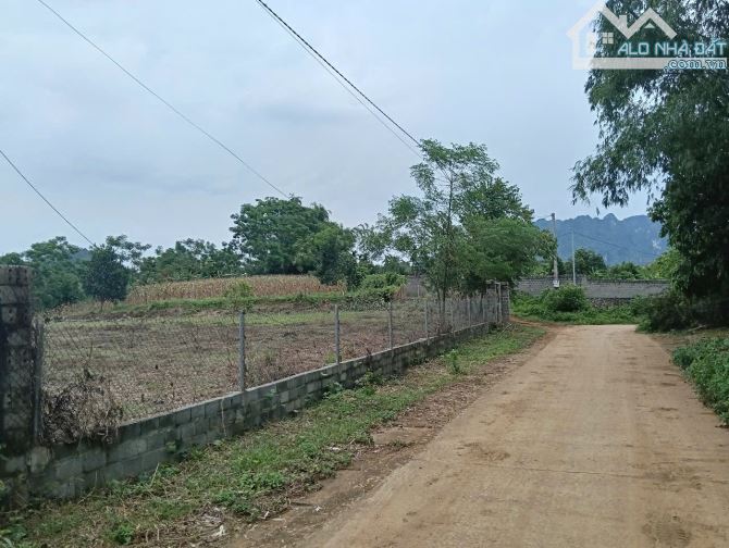 Bán đất Kim Bôi Hoà Bình đất thoáng bám đường rộng 2568m2 - 1