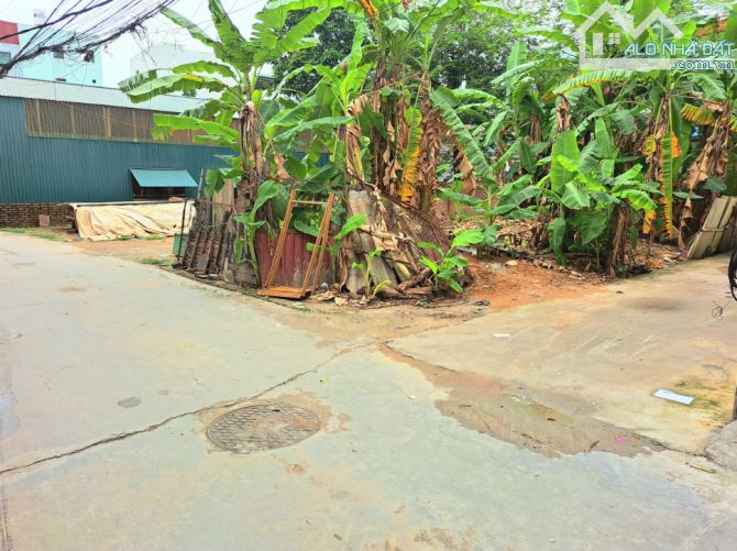 BÁN ĐẤT QUANG MINH – MÊ LINH – LÔ GÓC – ĐƯỜNG THÔNG Ô TÔ TRÁNH – CHỈ HƠN 3 TỶ - 1