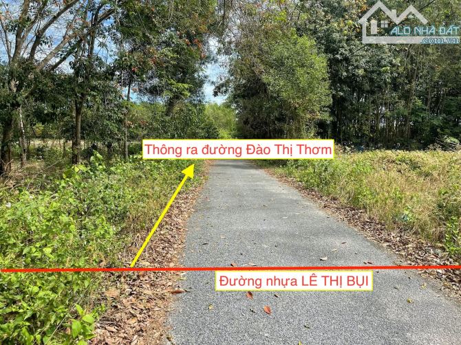 Bán đất mặt tiền nhựa thông đường TL7 xã An Nhơn Tây Củ Chi TPHCM, DT: 4600m2. - 1