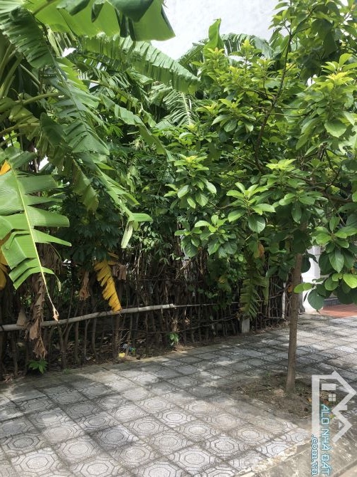 bán ĐẤT rẻ hơn giá thị trường 150tr. Khu đô thi Tây Quốc Lộ 10, TT Đông Hưng 83,25m2 M - 1