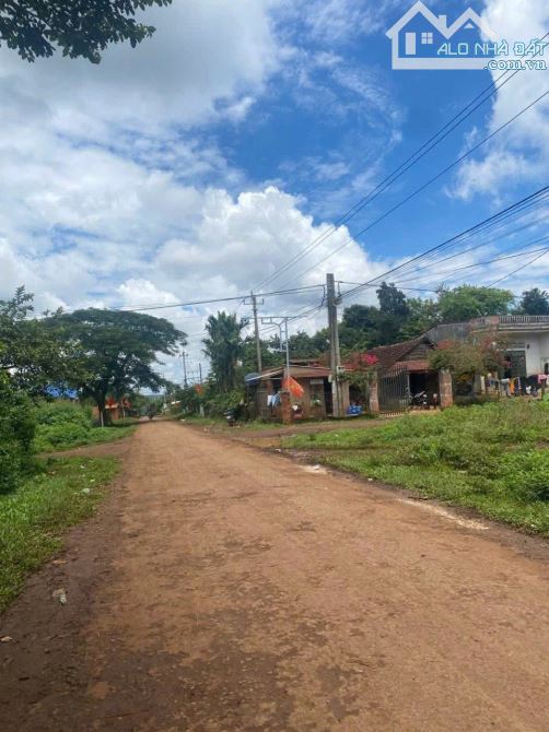 LÔ ĐẤT 3 MẶT TIỀN ĐƯỜNG NHỰA EADRONG - CÁCH TRUNG TÂM BMT CHỈ 17KM - 1