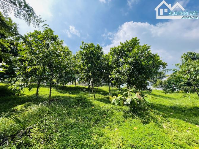 Chủ Gửi Bán Lô Đất View Đồi có sẵn vườn Trái Cây, Hồ Cá,Đường nhựa nhà nước - 12