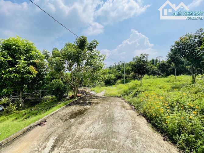 Chủ Gửi Bán Lô Đất View Đồi có sẵn vườn Trái Cây, Hồ Cá,Đường nhựa nhà nước - 13