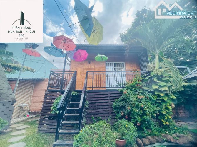 Farm MiNi nghĩ dưỡng - kinh doanh dịch vụ lưu trú - gần KCN SoNadeze - đồi cừu Suối Nghệ - 14