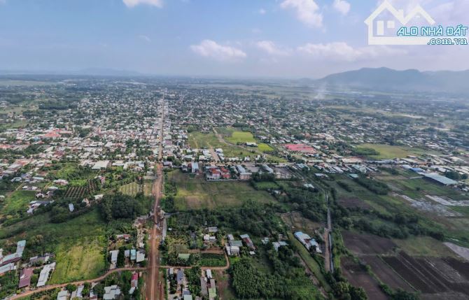 LÔ ĐẤT BIỆT THỰ VƯỜN TUYỆT ĐẸP MẶT TIỀN 56B SUỐI NGHỆ, THỔ CƯ, CÓ HỒ BƠI, VƯỜN CÂY ĂN TRÁI - 14