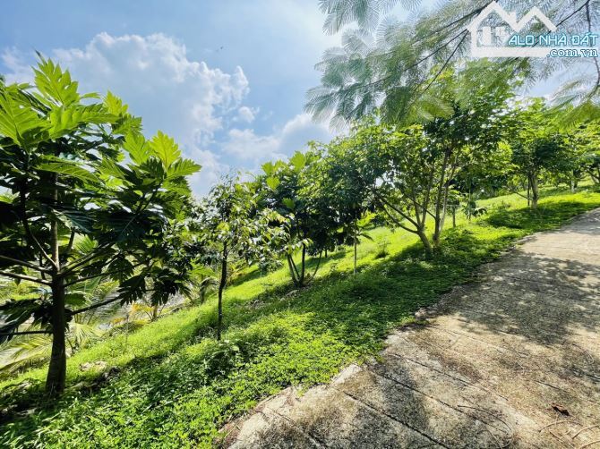 Chủ Gửi Bán Lô Đất View Đồi có sẵn vườn Trái Cây, Hồ Cá,Đường nhựa nhà nước - 14