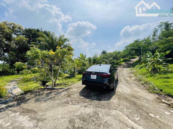 Chủ Gửi Bán Lô Đất View Đồi có sẵn vườn Trái Cây, Hồ Cá,Đường nhựa nhà nước - 15