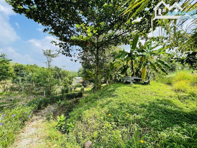 Chủ Gửi Bán Lô Đất View Đồi có sẵn vườn Trái Cây, Hồ Cá,Đường nhựa nhà nước - 16