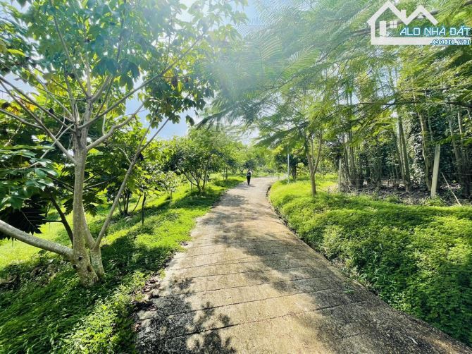 Chủ Gửi Bán Lô Đất View Đồi có sẵn vườn Trái Cây, Hồ Cá,Đường nhựa nhà nước - 19