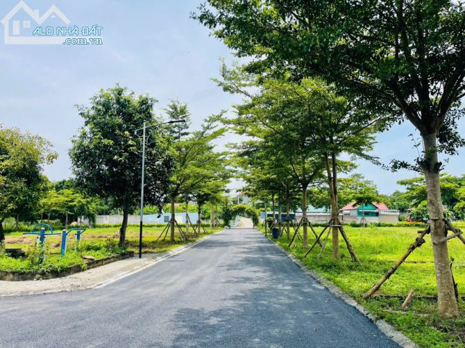 "Cơ Hội Đầu Tư Lô Đất Góc 160m² Tại Khu Phú Gia, Hoà Lạc - Giá Hợp Lý!" - 1