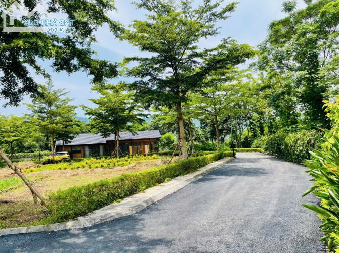 "Cơ Hội Đầu Tư Lô Đất Góc 160m² Tại Khu Phú Gia, Hoà Lạc - Giá Hợp Lý!" - 5