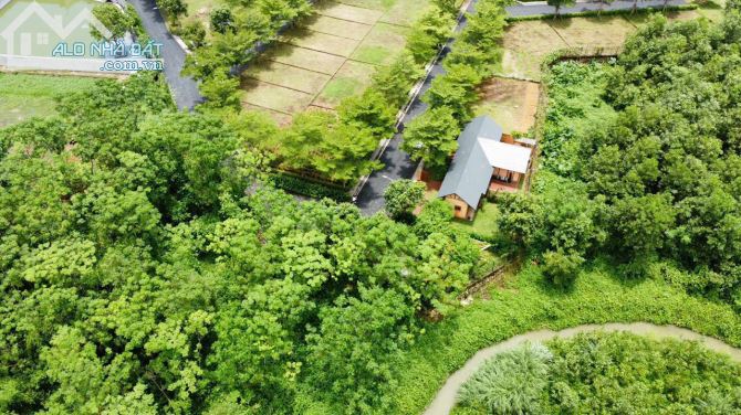 "Cơ Hội Đầu Tư Lô Đất Góc 160m² Tại Khu Phú Gia, Hoà Lạc - Giá Hợp Lý!" - 7
