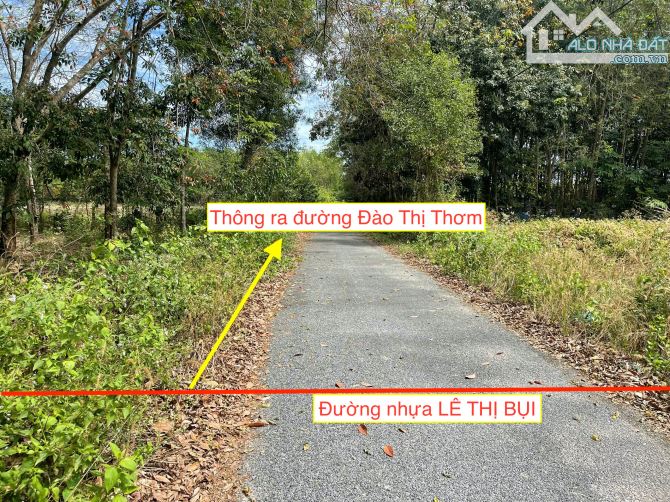 Chủ cần bán nhanh đất đẹp xã ANT mà rẻ. DT 4581m2 khu dân cư chỉ 5 tỷ 200 triệu còn bớt. - 2