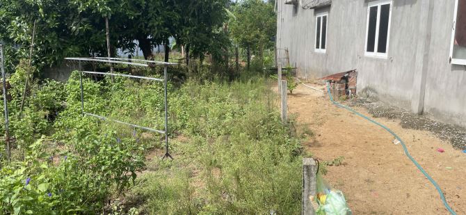 càn bán đất tại xã Đảo Tam Hải - 4