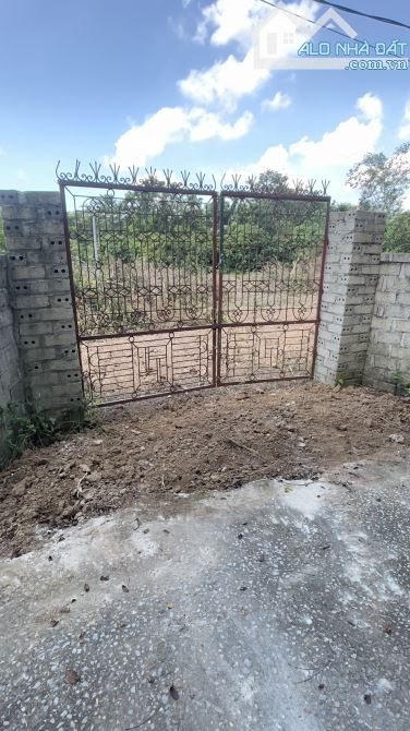 Đất nền lớn, giá rẻ – Cơ hội hiếm tại Giáp Hạ - 2
