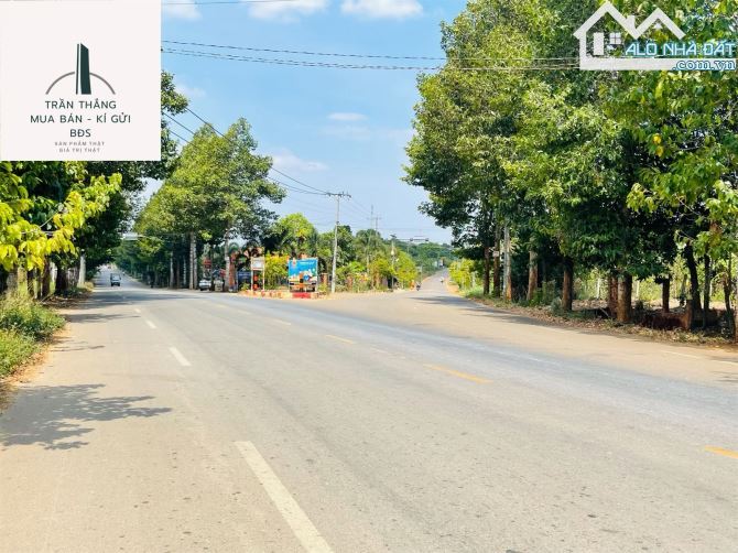 Đất 2 MT xã Láng Lớn - Khu Dân Cư Đông - Thích Hợp Kinh Doanh , Buôn Bán - 2