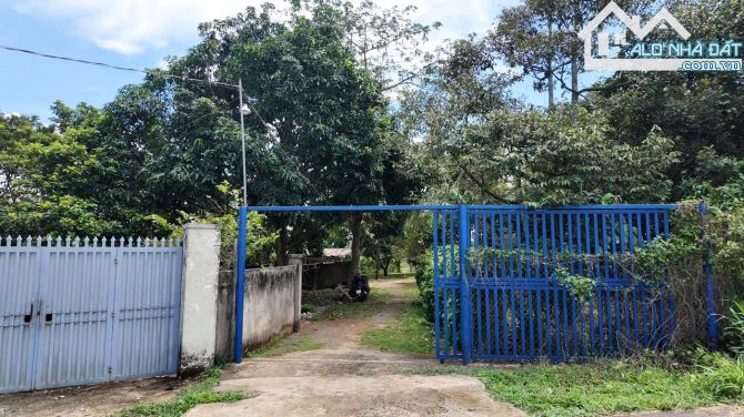 Bán vườn trái cây view suối liền kề cao tốc diện tích lớn: 25.433m2, sẵn 300m2 thổ cư - 2