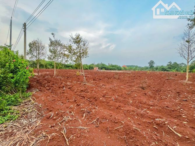 HƠN 1 MẪU ĐẤT MẶT TIỀN ĐƯỜNG NHỰA, QUY HOẠCH ĐẤT Ở, LIỀN KỀ CAO TỐC LONG THÀNH - HỒ TRÀM - 2
