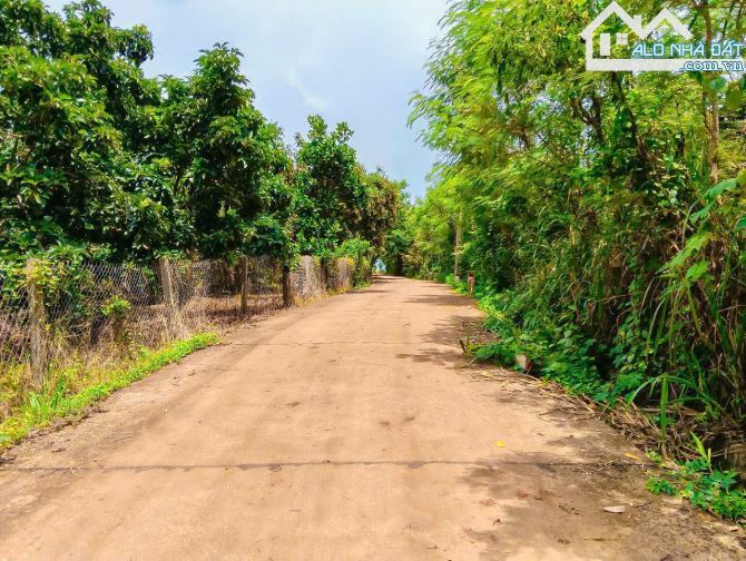 VƯỜN TRÁI CÂY VIEW SUỐI, SẴN THỔ CƯ, CÁCH ĐƯỜNG XÀ BANG - LÁNG LỚN 300M, LIỀN KỀ THỊ TRẤN - 2