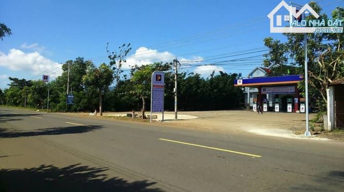 CẦN BÁN NHANH 9.436 M2 ĐẤT NGHĨA THÀNH, CHÂU ĐỨC BRVT, KẾ DỰ ÁN LAN ANH 7 GIÁ NGỘP - 2
