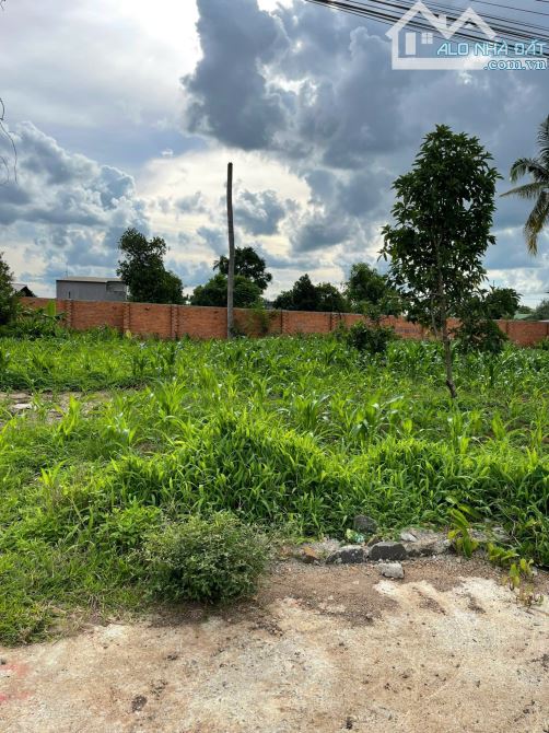 🆘 Bán 130m2 đất thổ cư khối 13 phường Khánh Xuân. Tp BMT. Chỉ 850 triệu - 2