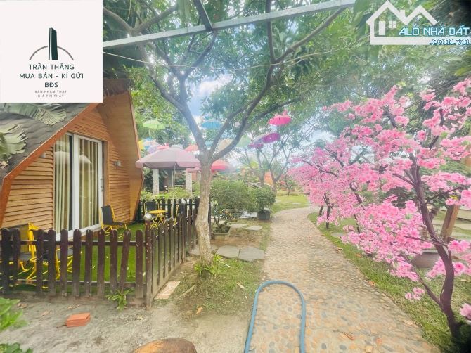 Farm MiNi nghĩ dưỡng - kinh doanh dịch vụ lưu trú - gần KCN SoNadeze - đồi cừu Suối Nghệ - 2