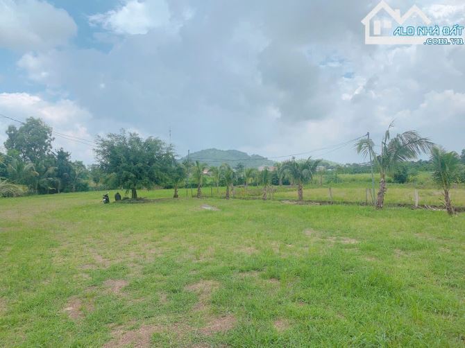 Bán khoảng 3 sào (3084m2) đất xã Suối Nghệ, huyện Châu Đức, BRVT. - 2