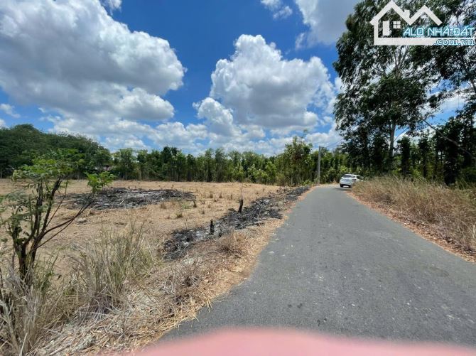 Bán Đất Châu Đức – BRVT,  544m2, hàng hiếm giá siêu hời - 2