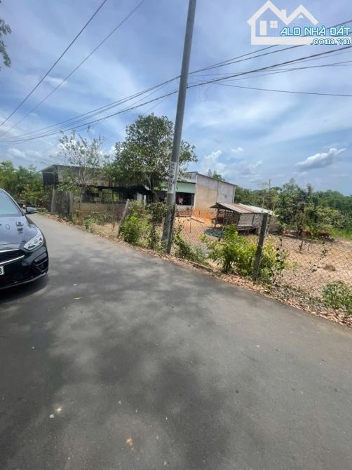 BÁN ĐẤT TẠI XÃ SUỐI RAO – TP.HCM - 2