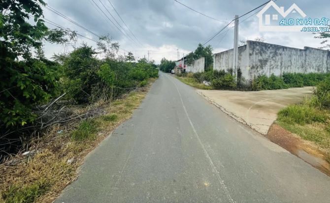 BÁN 1.6HA MẶT TIỀN NHỰA LỚN, CÁCH ĐƯỜNG CHÍNH XUÂN SƠN - ĐÁ BẠC 1KM, GIÁ RẺ NHẤT KHU VỰC - 2