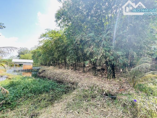 Chủ Gửi Bán Lô Đất View Đồi có sẵn vườn Trái Cây, Hồ Cá,Đường nhựa nhà nước - 2
