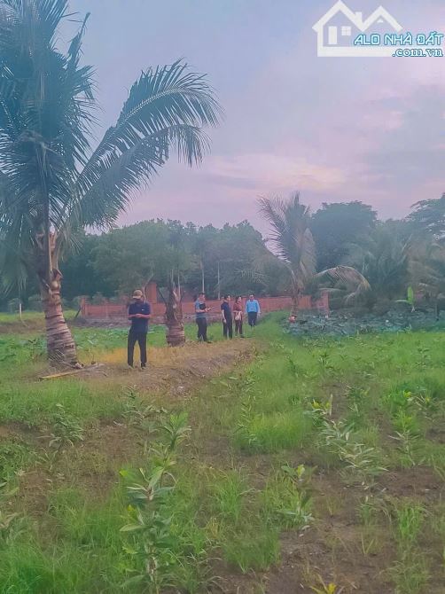 CẦN BÁN VIEW HỒ ĐÁ BÀNG CÓ SẴN VƯỜN TRÁI CÂY,AO SEN CỰC ĐEP VỊ TRÍ MÁT MẺ THÔNG THOÁNG.. - 2