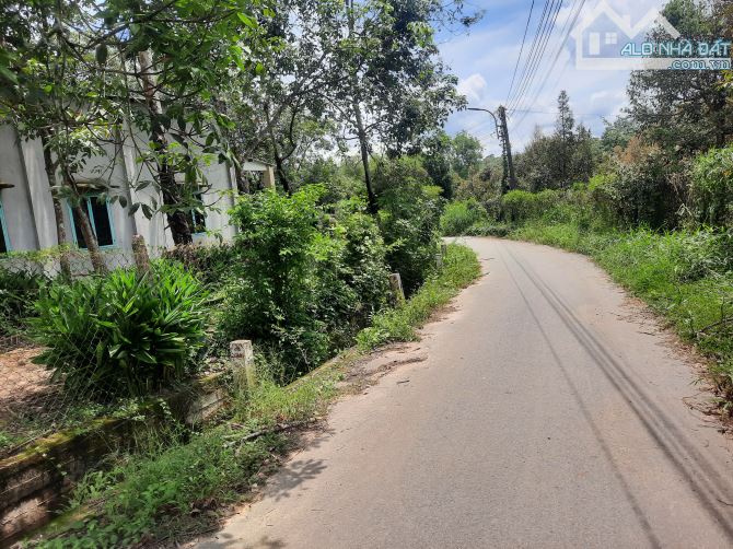Đất nền thành phố Hồ Chí Minh giá rẻ vị trí đầu tư tiềm năng - 2