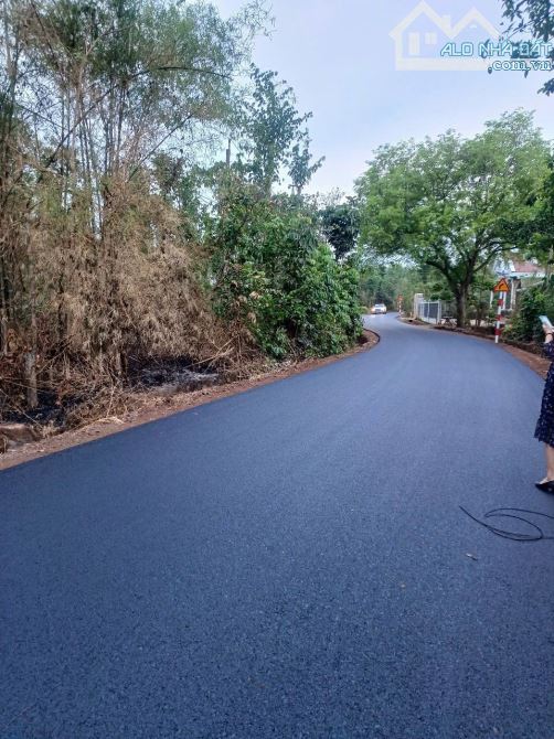 13000m2 mặt tiền đường nhựa khu dân cư đất full hồng giá rẻ tphcm - 2