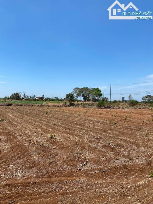 Cần bán 33.065m2 đất 2 mặt tiền hiếm hoi, sẵn 300m2 thổ cư, phủ hồng, giá đầu tư - 2