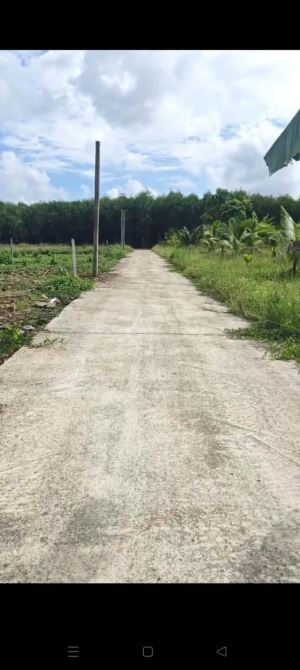 BÁN 1000M2 TẠI XÀ BANG CHÂU ĐỨC GIÁ 860TR, ĐƯỜNG BE TÔNG 5M - 2