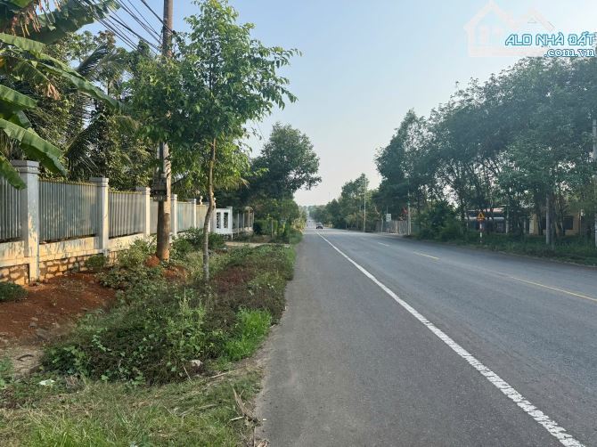 1,2 Hecta với 900 ONT, Hai mặt tiền đường với  32 Mặt tiền Quốc lộ 56, 120m mặt hông - 2