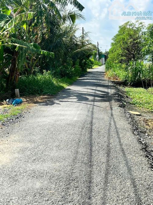 💎 Bán đất Biệt thự (15 x 66m) đường nhựa Tân Xã, Phường Long Hòa gần Tỉnh Lộ 862 - 2