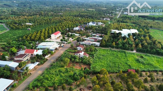 Bán 8,6 sào đất vườn có nhà cấp 4 mơi xây. - 2