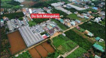 🌿 BÁN LÔ ĐẤT ĐẸP Tà NUNG – ĐÀ LẠT 🌿 📍 Vị trí: cam ly – khu vực đang phát triển mạnh, - 2