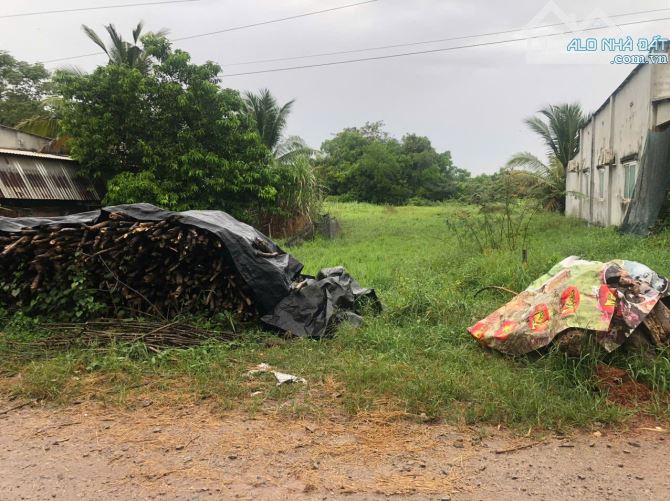 BÁN ĐẤT VƯỜN 1,4 HÉC-TA TẠI DẦU TIẾNG, BÌNH DƯƠNG - 25 TỶ - 2