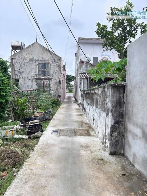 Cần bán lô đất trung tâm quận Đồ Sơn Hải Phòng - 2