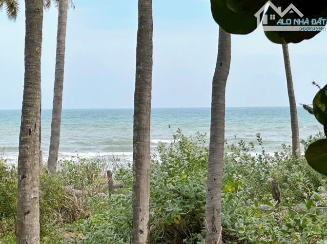 ĐẤT NGỘP GIẢM NỬA GIÁ CÒN 25 TỶ ĐẤT MẶT TIỀN BIỂN MŨI NÉ PHAN THIẾT - KHU  NHÀ HÀNG RESORT - 2