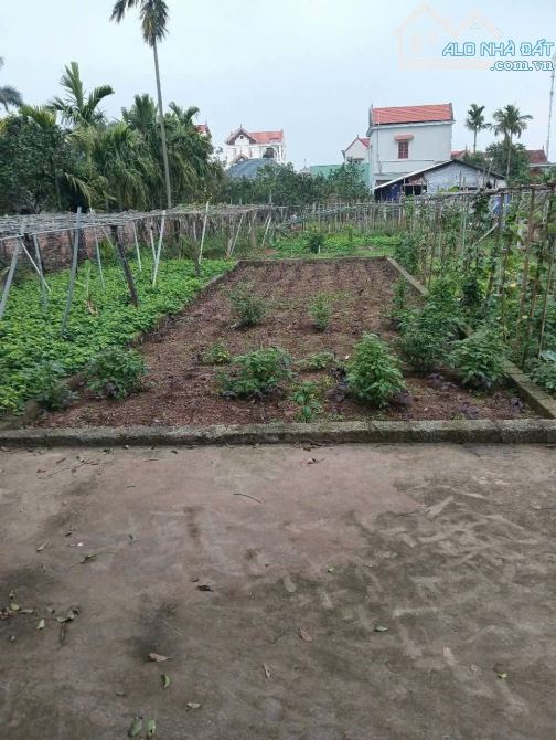 🥦 HOA HẬU LÔ ĐẤT ĐẸP ĐƯỜNG RỘNG 6M  👉Hồng Thái - Phú xuyên - HÀ NỘI  **Diện tích 68m  ** - 2